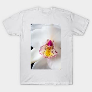 White Orchid Close up T-Shirt